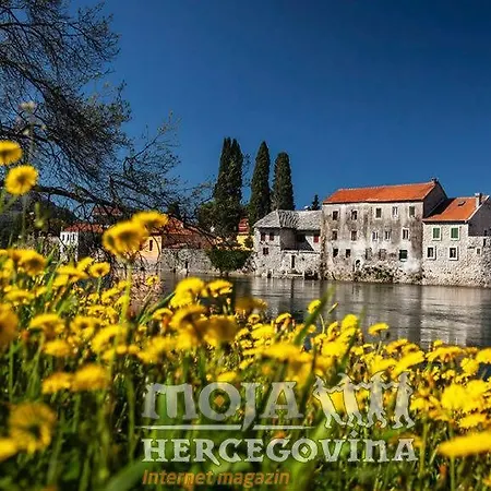 Mediteran * Trebinje
